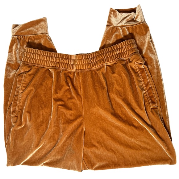 Fabletics Daria Velour Joggers in Light Honey - Picture 6 of 10